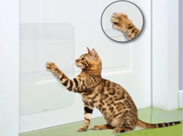 Устойчивость к царапинам