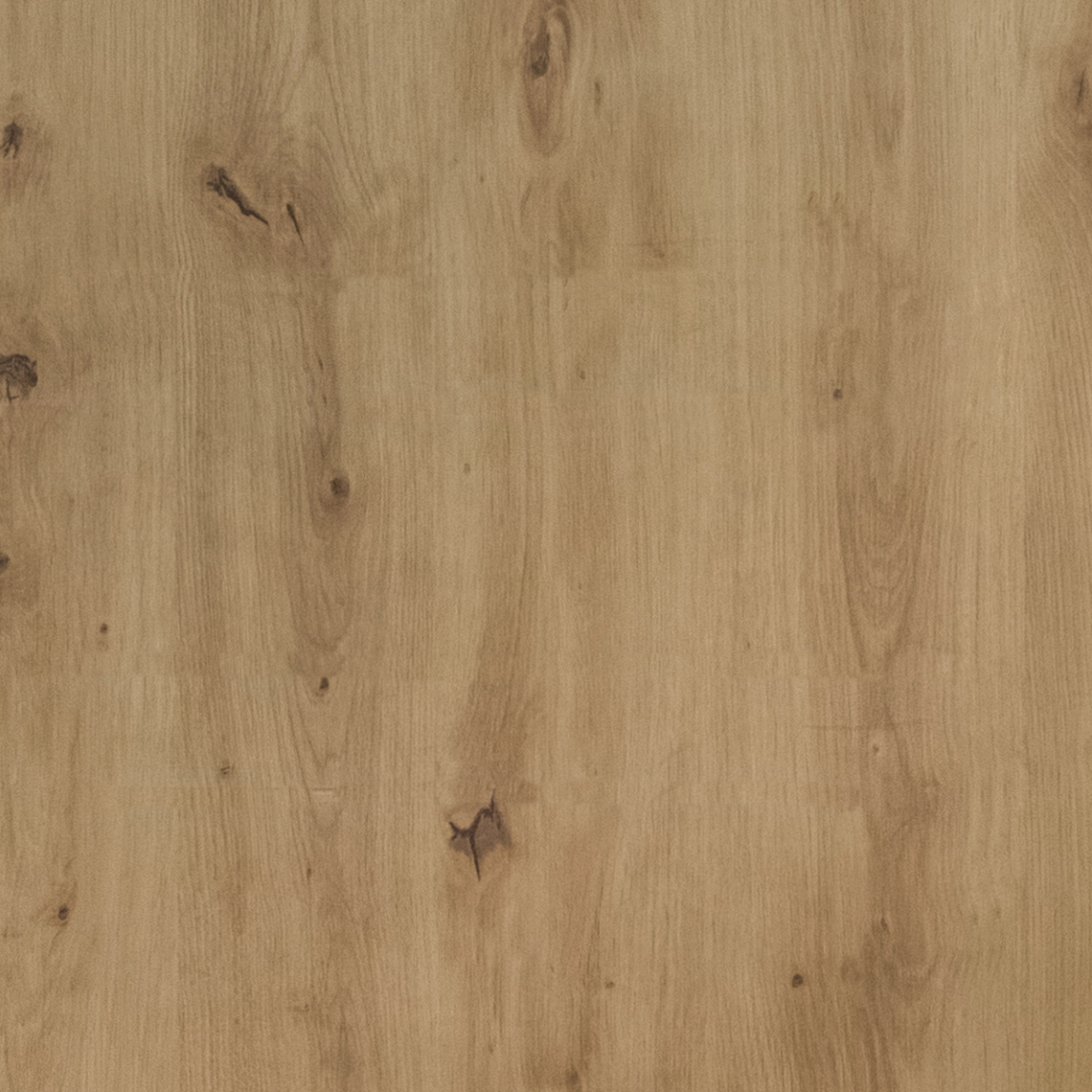 Дуб Артизан