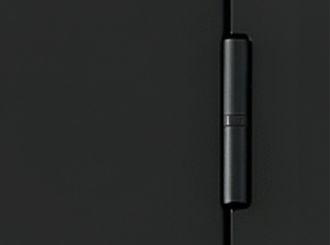 Петли для входных дверей с опорным подшипником обеспечивают более 20 лет безотказной работы.