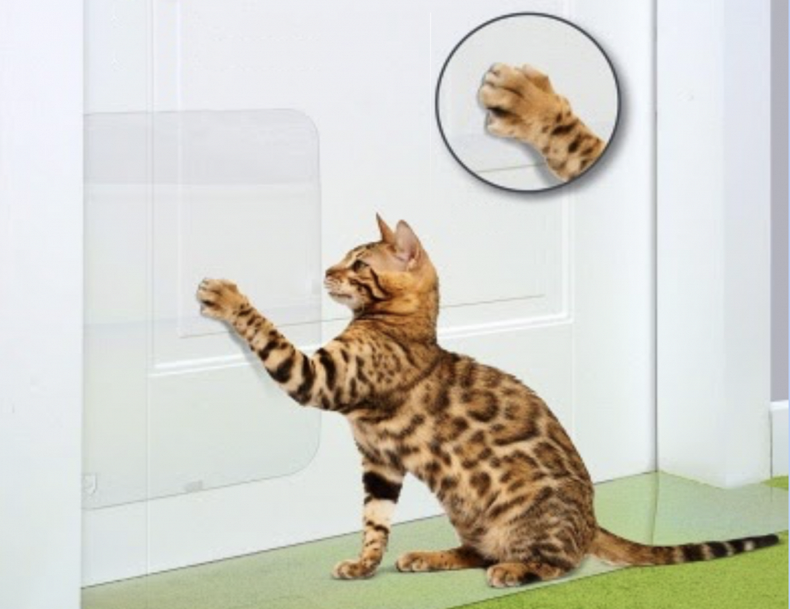 Защита от царапин