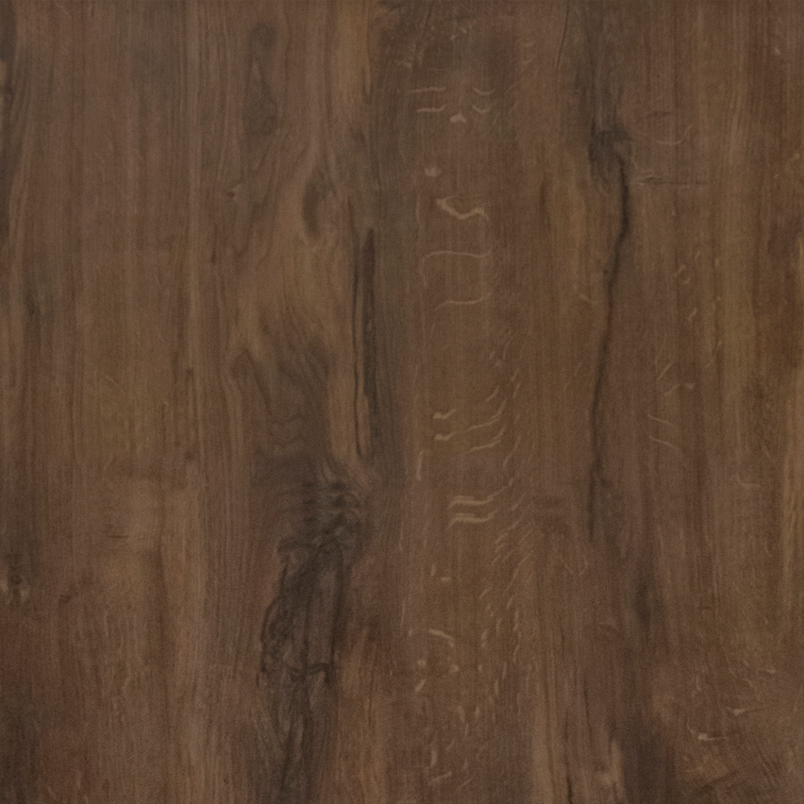 Дуб королесвкий