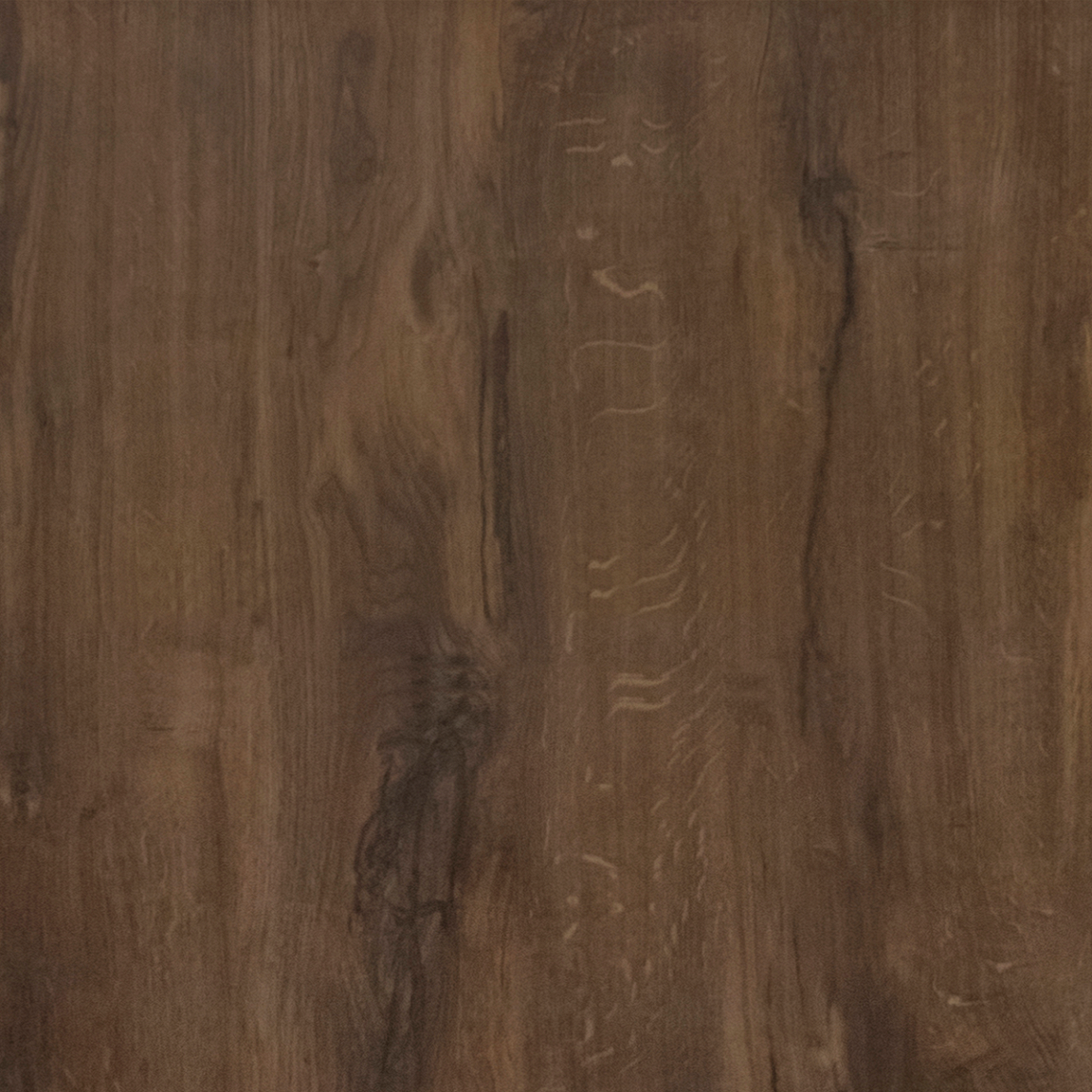 Дуб королесвкий