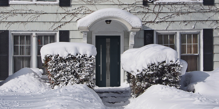 Входная теплая дверь в дом с окном и рейлингом| Серия «Хаски», модель «Берген» — Стальная линия