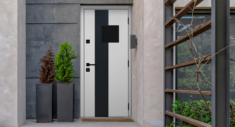 Теплая входная дверь в дом в современном стиле | Модель «Проун» Серии Хаски — Стальная линия