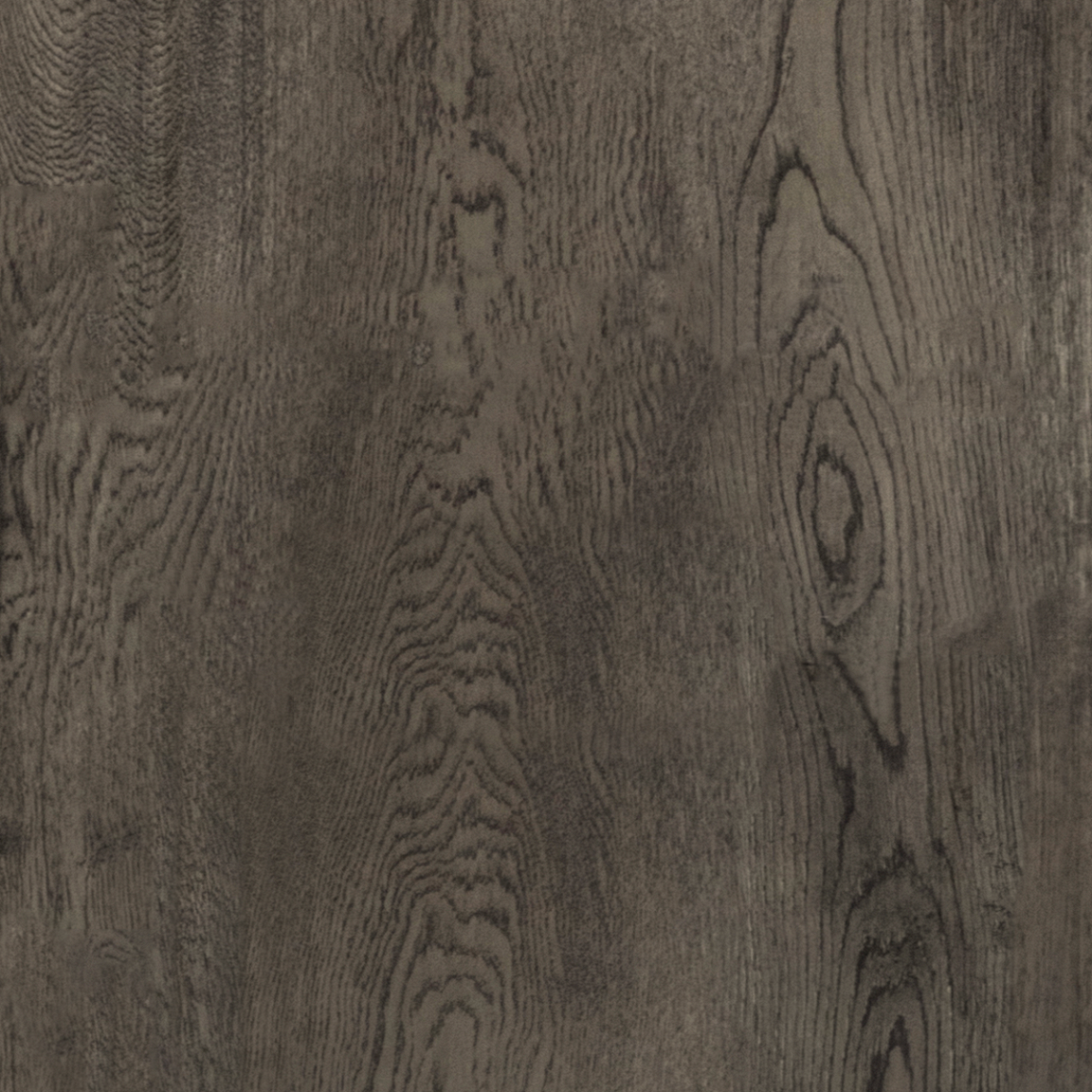 Дуб Йорк серый