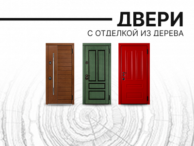 Двери с отделкой из дерева